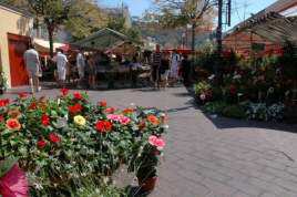 Blomstermarkedet - Foto: Gaute Nordvik