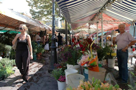 Utvalget av blomster er stort - Foto: Gaute Nordvik