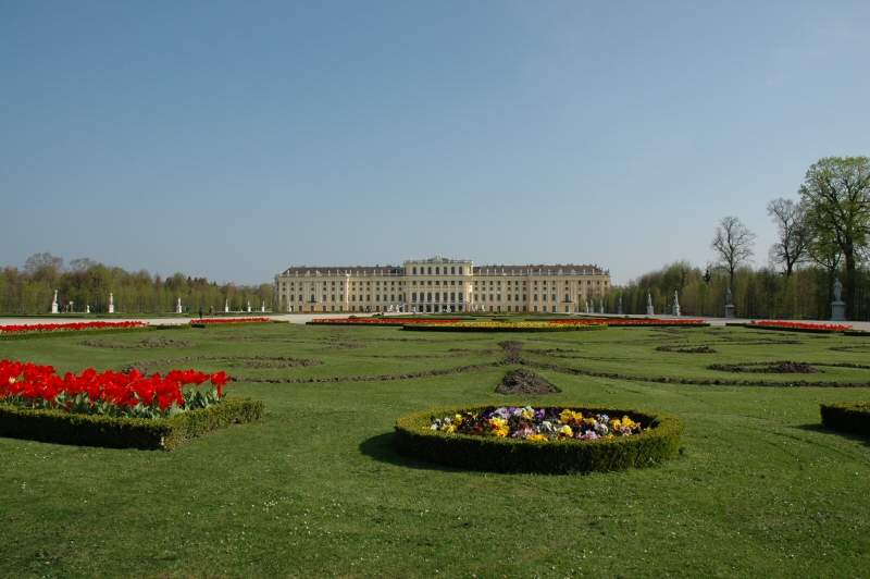 Schönbrunn-palasset sett fra parkanlegget – Foto: Gaute Nordvik